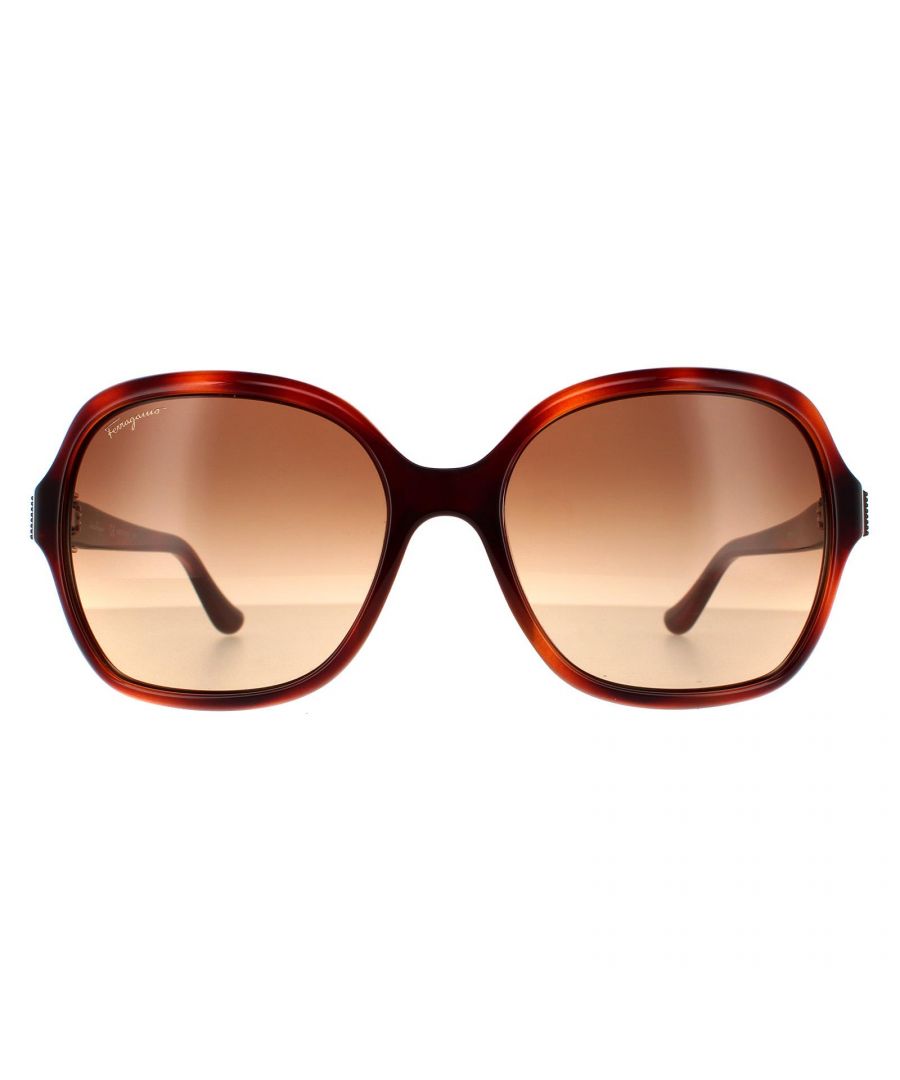 Salvatore Ferragamo Square Womens Light Tortoise Brown Gradient Sunglasses SF761S are a glamorous oversized square style for women with a metal buckle accent on the temple with the Ferragamo logo engraved in the middle.