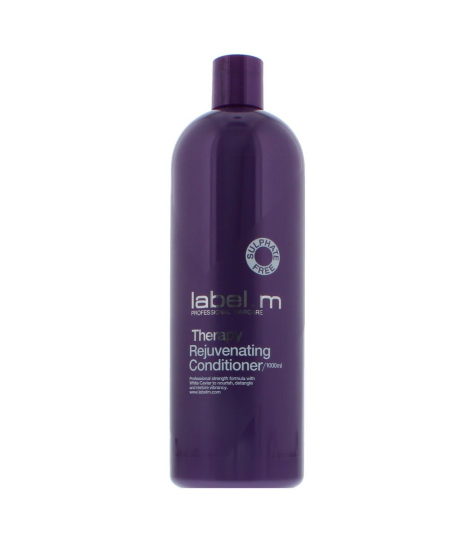 A gorgeous sulphate free conditioner that helps to restore replenish and transform weak dull and aged hair leaving it strong radiant and youthful. Formulated with 8 ultracaring and technologically advanced ingredients to reverse the visible signs of ageing. Hair is left looking and feeling strong radiant and beautifully youthful.