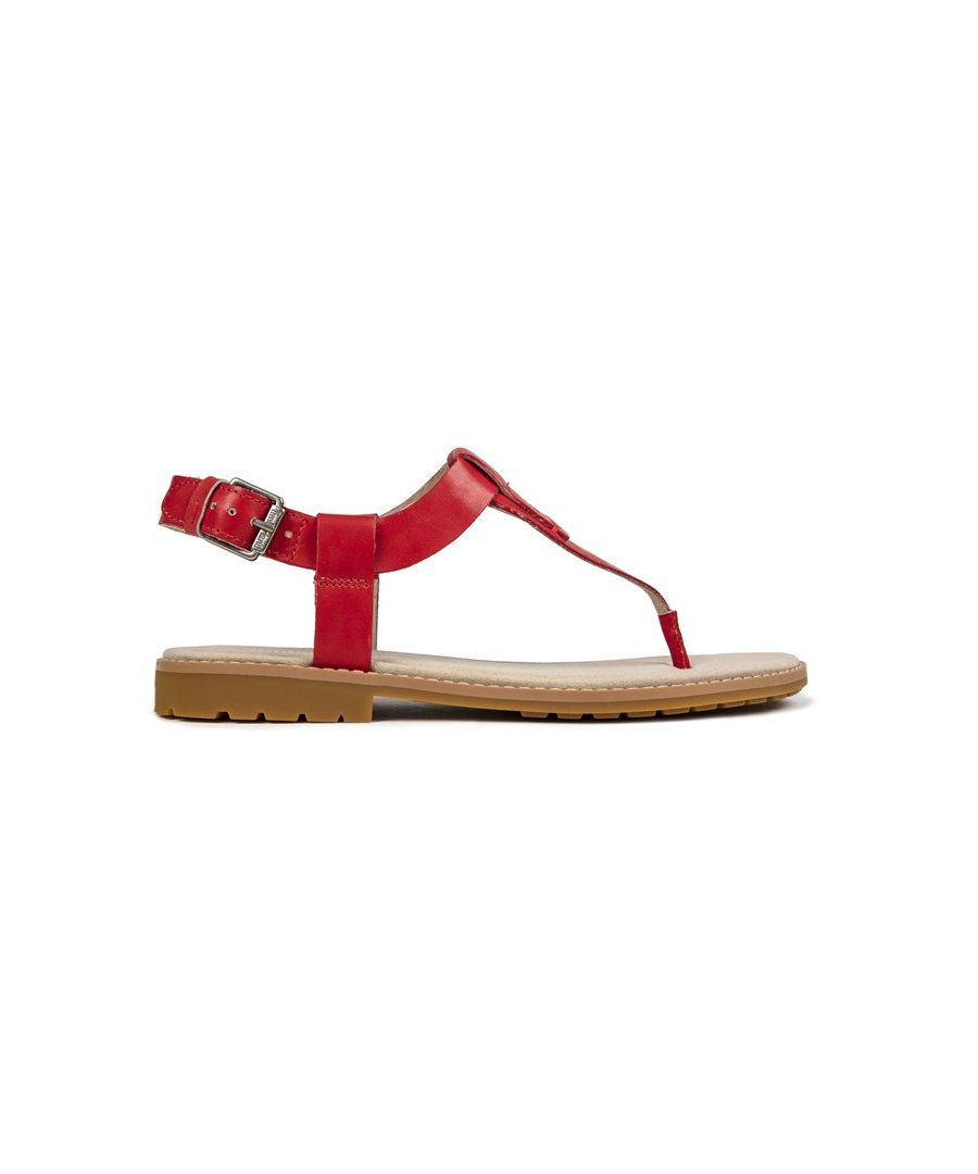 Image for Timberland Chicago Riverside Sandals
