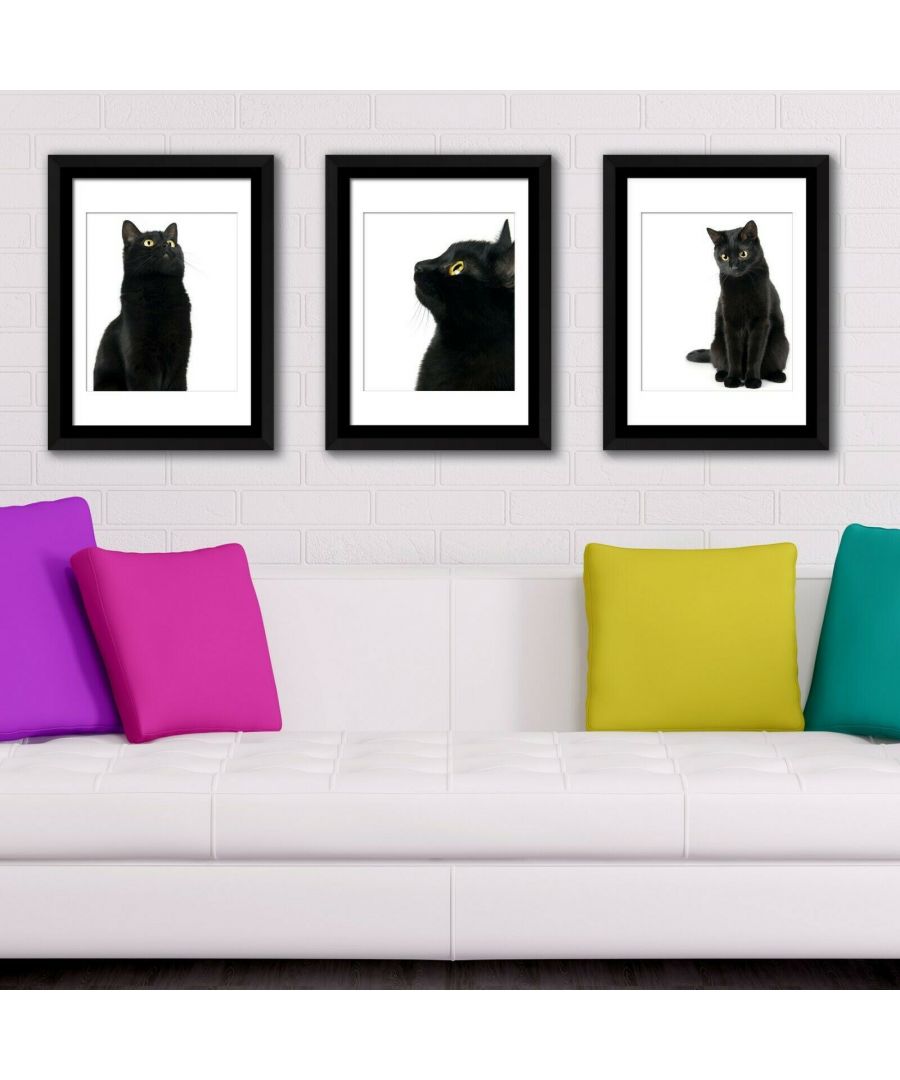 Image for Framed Art Black Cat Framed Photo, Framed Art