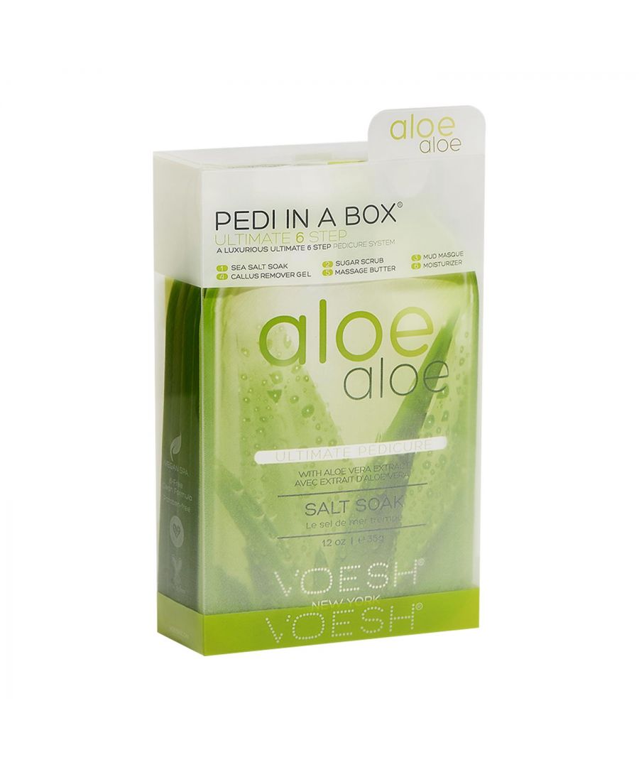 Image for Voesh 6 Step Pedi in a Box Aloe Aloe