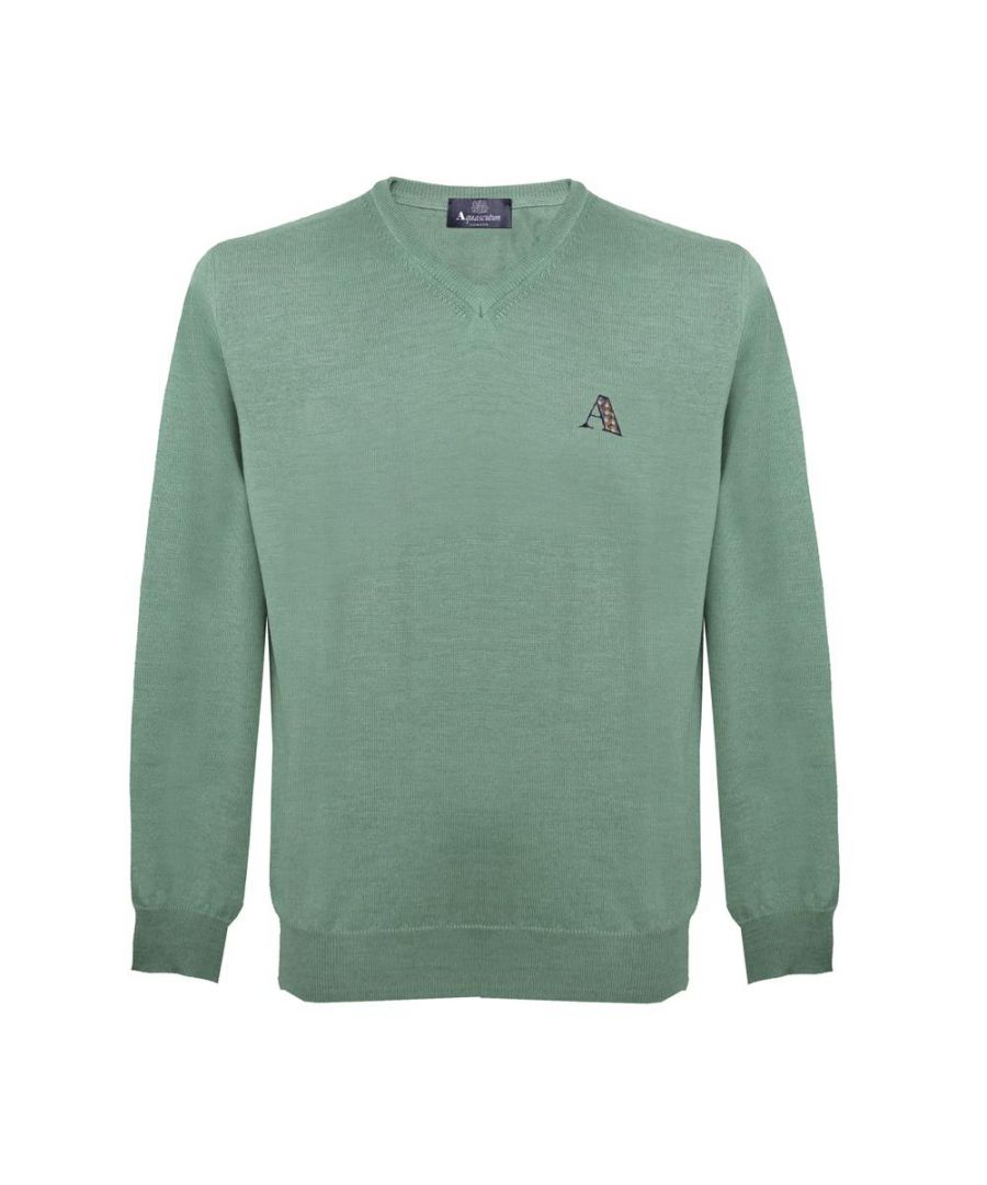 Image for Aquascutum Mens Long Sleeved/V-Neck Knitwear Jumper with Logo in Mint Green