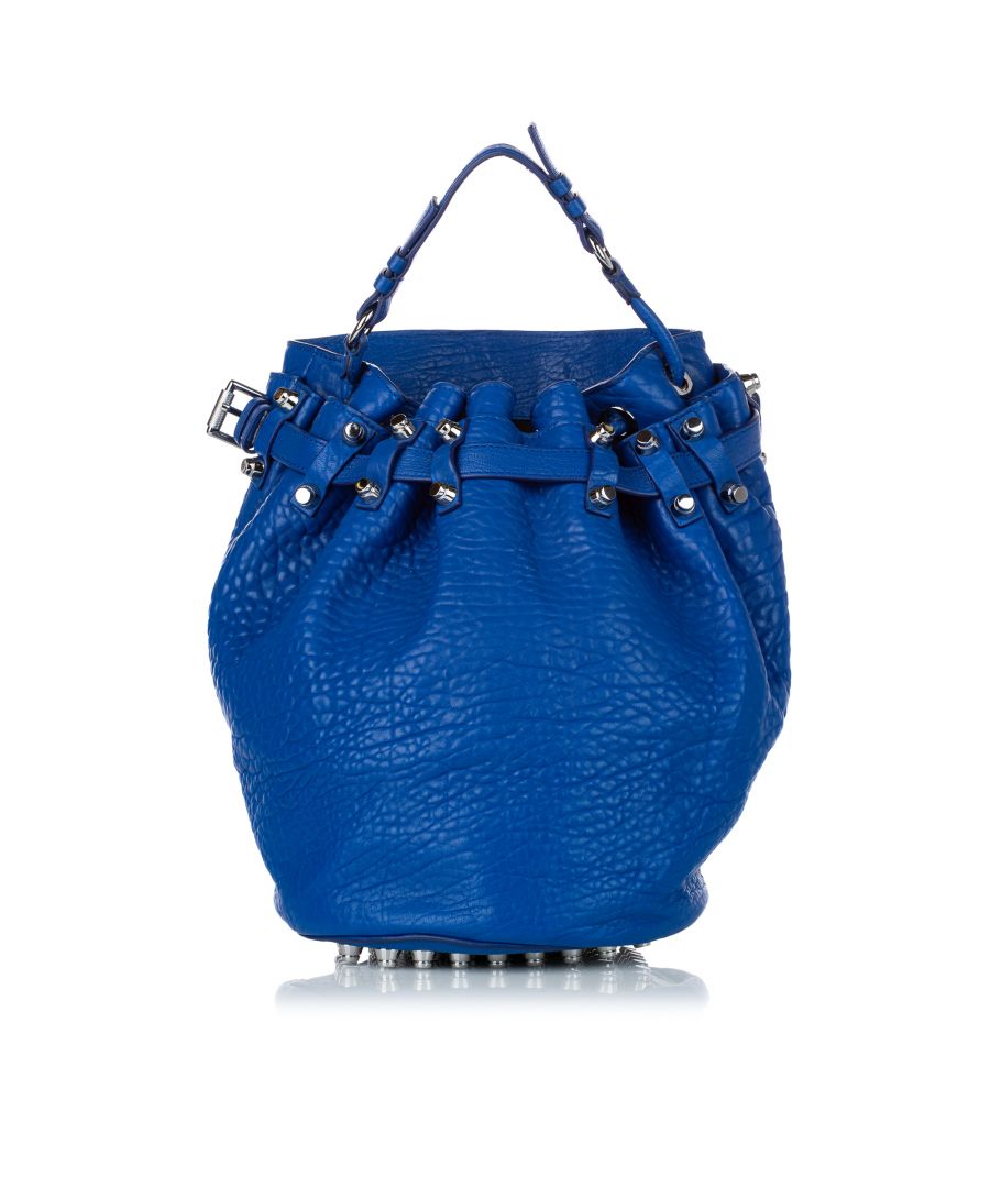 Image for Vintage Alexander Wang Diego Leather Bucket Bag Blue