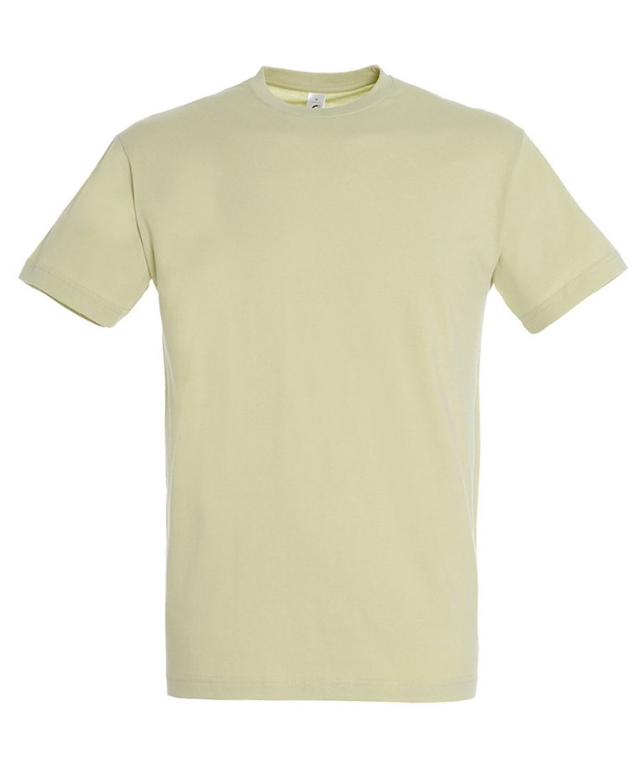 SOLS Mens Regent Short Sleeve T-Shirt (Green Sage) Cotton - Size X-Small