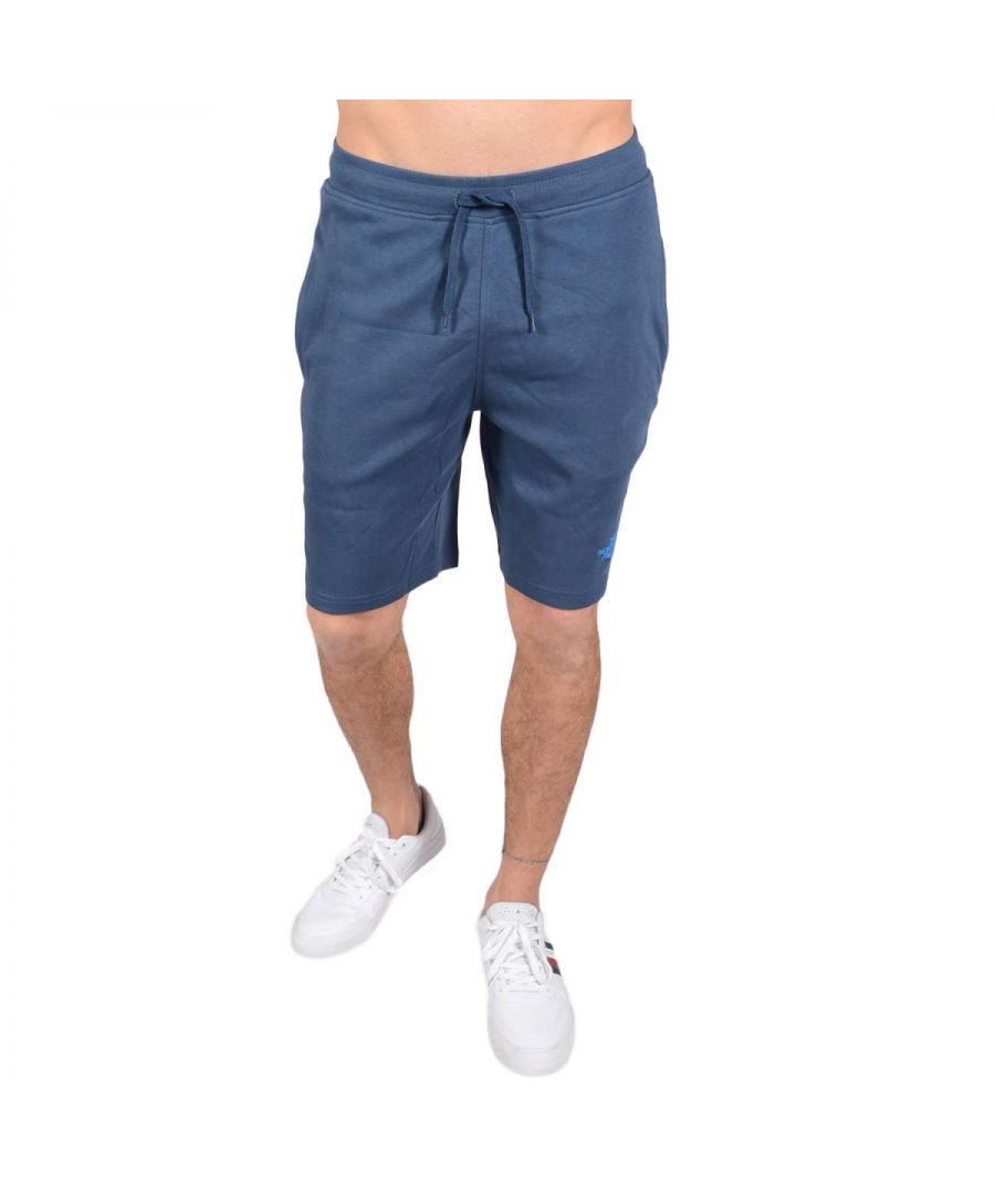 Image for The North Face Mens Graphic Shorts Blue
