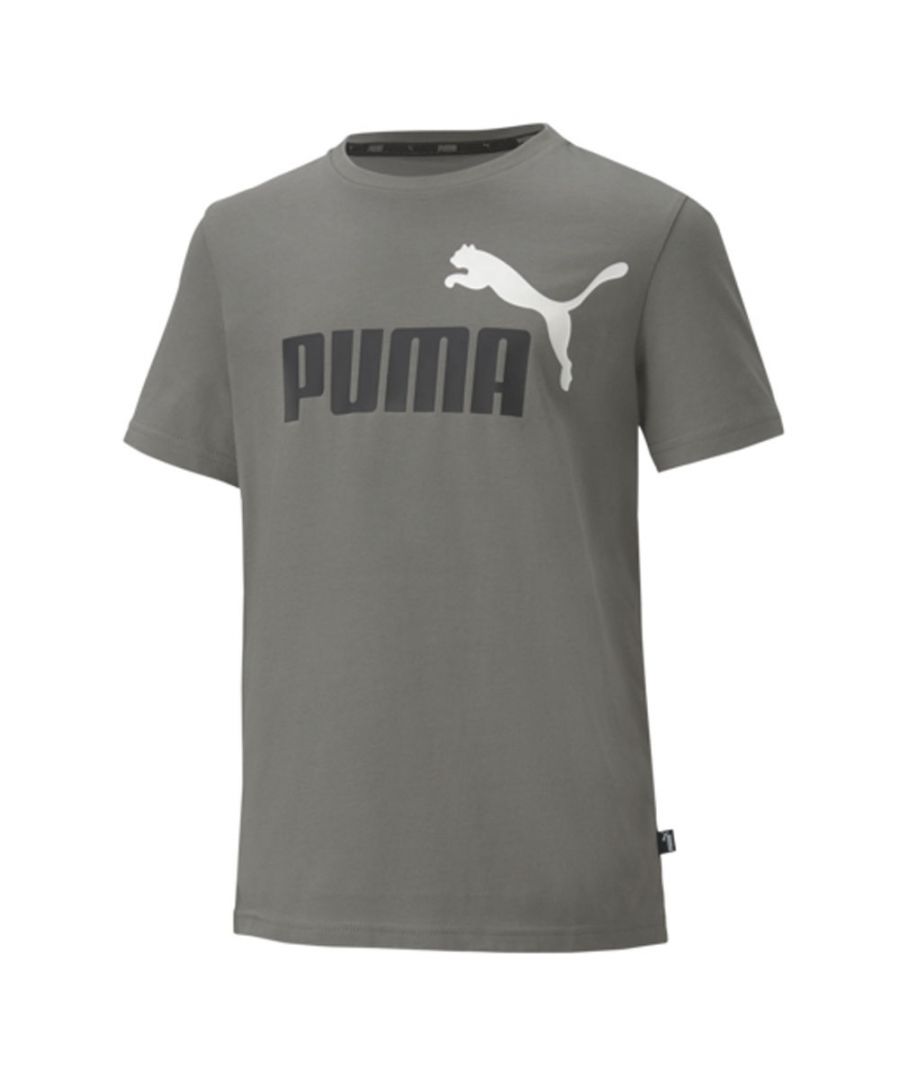 Image for Puma Essential 2 Colour Logo Kids T-Shirt Grey - 5-6 Years