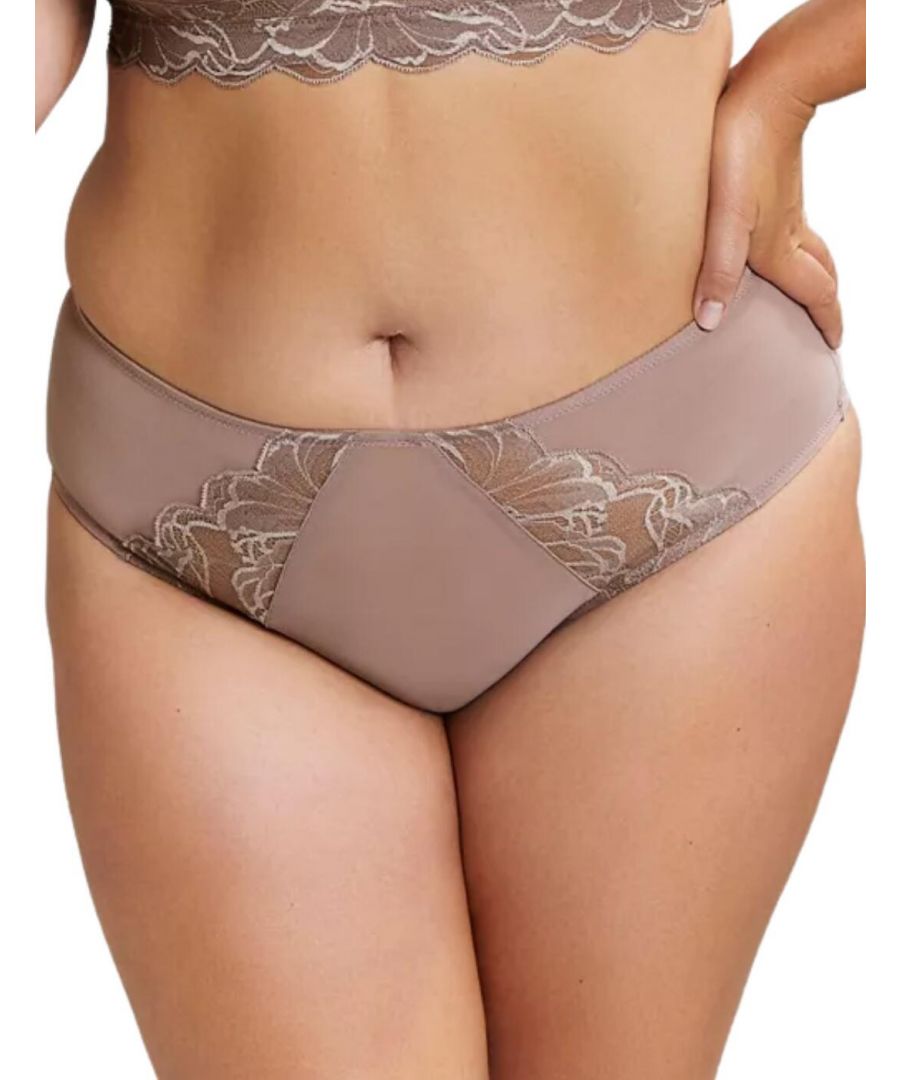 Sculptresse by Panache Womens Embrace Brief - Beige - Size 5XL