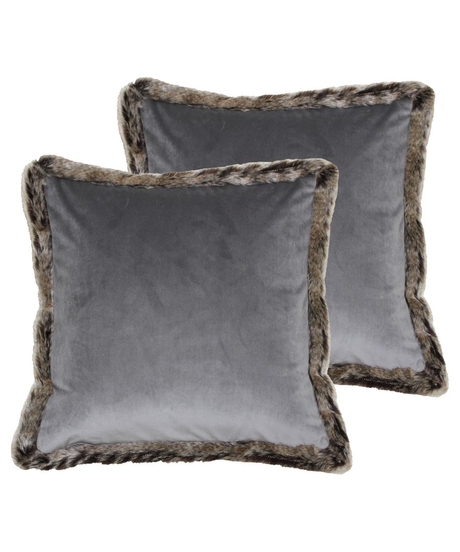 paoletti cushions grey
