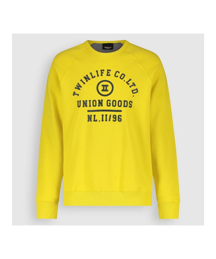 SWEAT RAGLAN PRINT - Hoodie