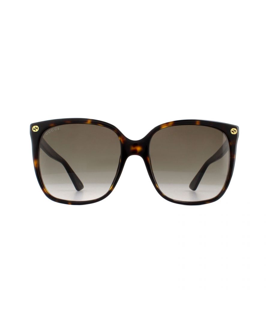Image for Gucci Sunglasses GG0022S 003 Havana Grey Gradient