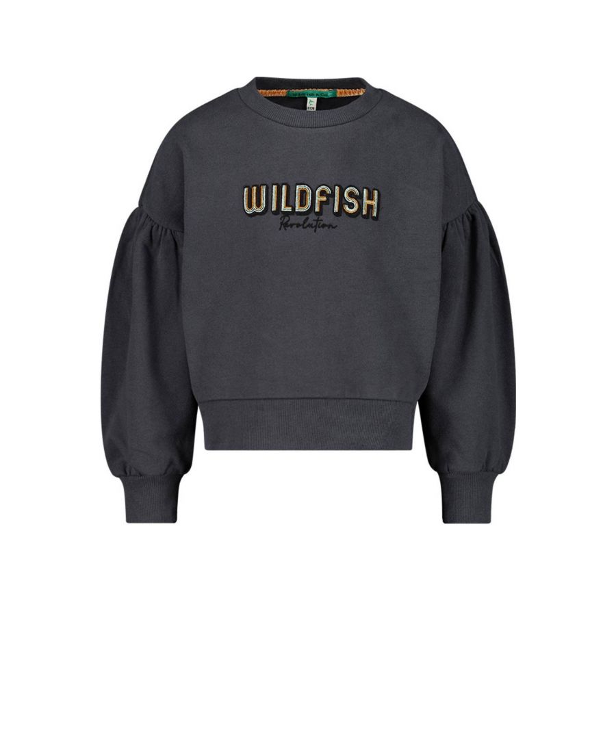 Deze sweater voor meisjes van Wildfish is gemaakt van een sweatstof en heeft een tekstopdruk. Het model heeft een ronde hals en lange mouwen.details van deze sweater:stijlnaam: Kitpofmouwen