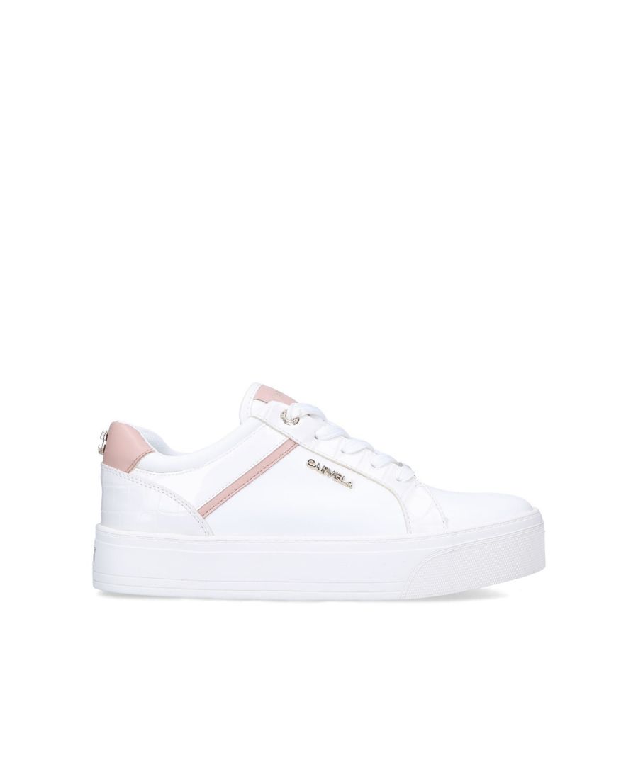 The Park is a lace-up trainer. There are pink panels across the upper and a croc embossed eyestay. There is a branded gold tone plate at the laces and Icon C pin stud at the back of the ankle.