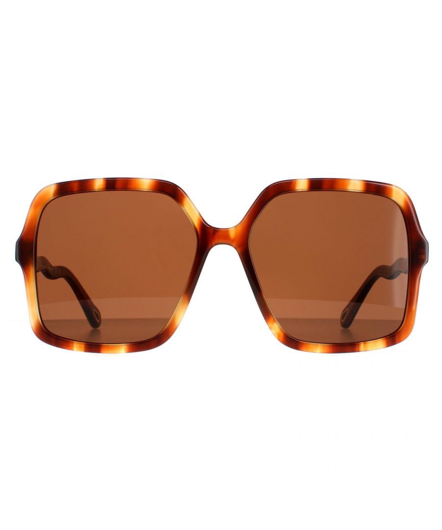 Chloe Square Womens Havana Brown CH0086S Zelie  Sunglasses are a modern square style crafted from lightweight acetate. The Chloe logo features on the wavy temples for brand authenticity.