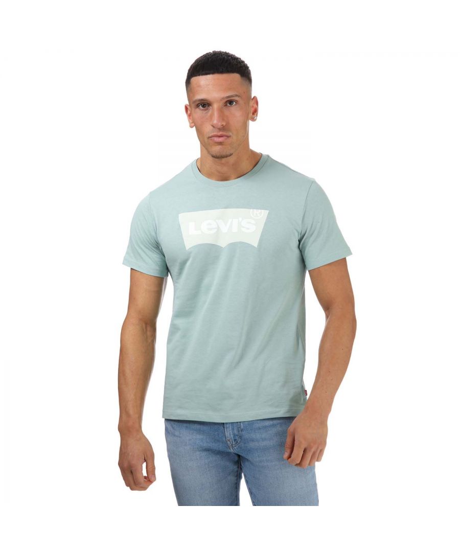 Levis grafisch Housemark T-shirt voor heren, mintgroen