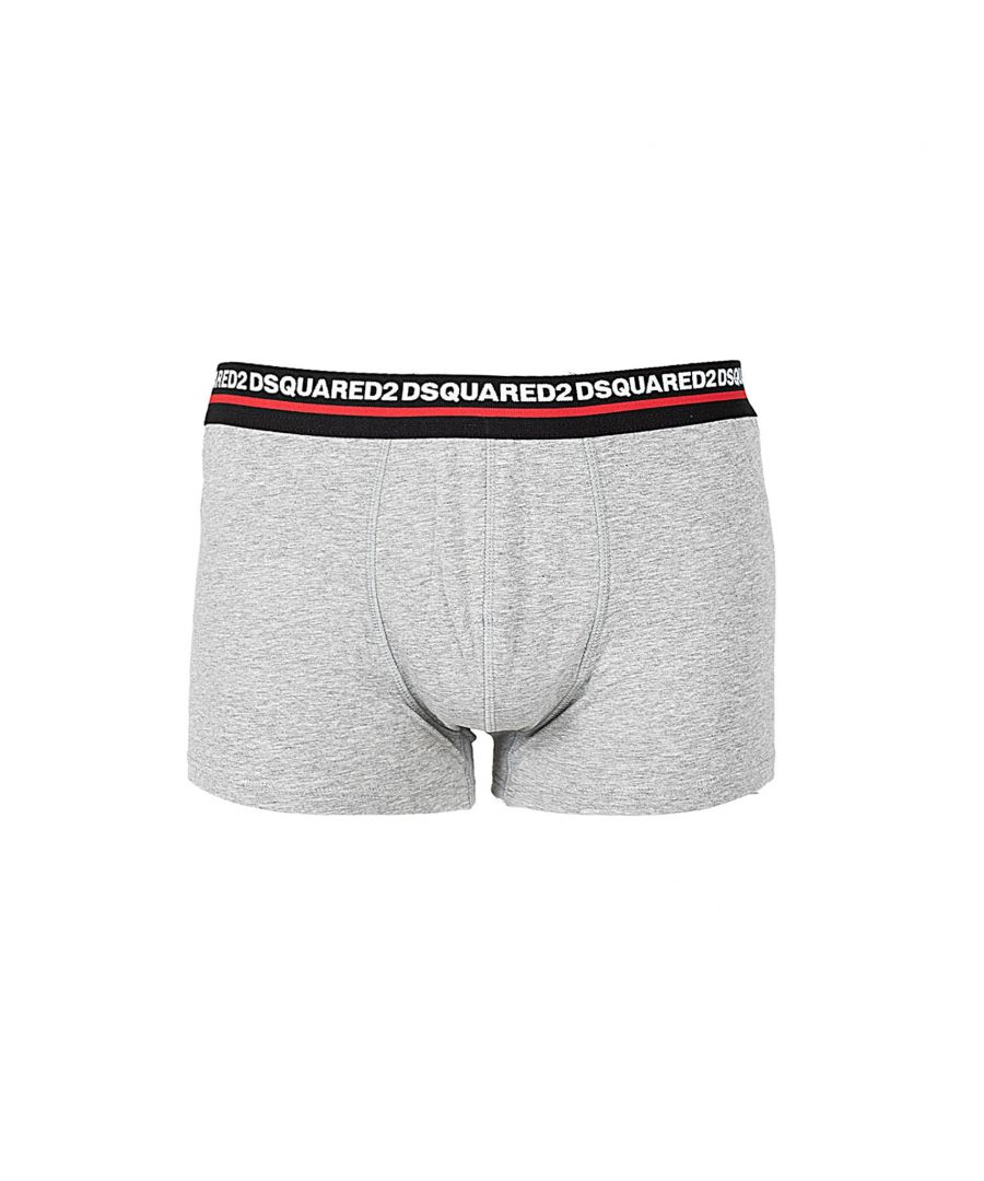 Dsquared2 Boxershorts Mannen Grijs