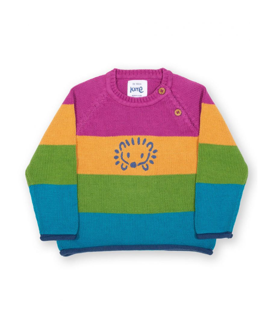 Kite Clothing Girls Hedgehog Jumper - Multicolour Organic Cotton - Size 6-9M