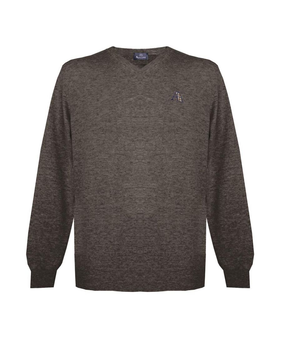Image for Aquascutum Mens Long Sleeved/V-Neck Knitwear Jumper with Logo in Grey