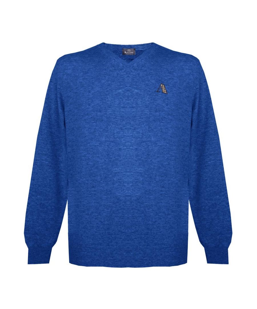 Image for Aquascutum Mens Long Sleeved/V-Neck Knitwear Jumper with Logo in Blue