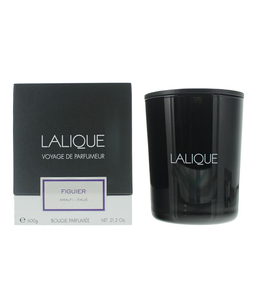Lalique Figuier Amalfi candle is a premium candle from Lalique's 