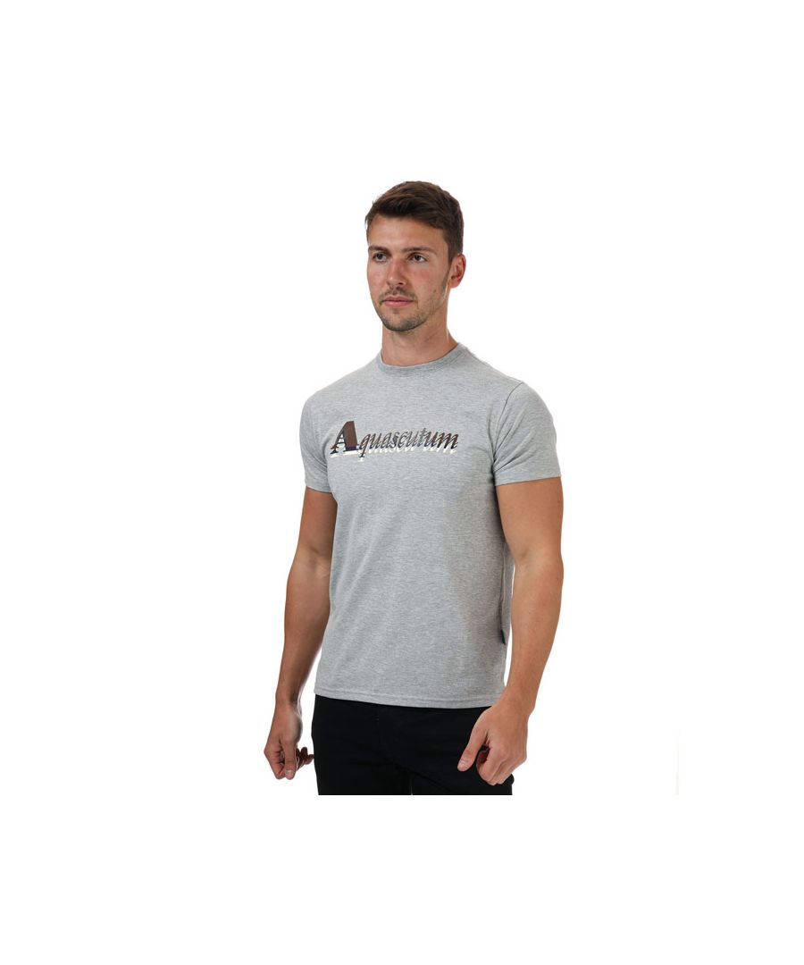 Aquascutum T-shirt voor heren, grijs