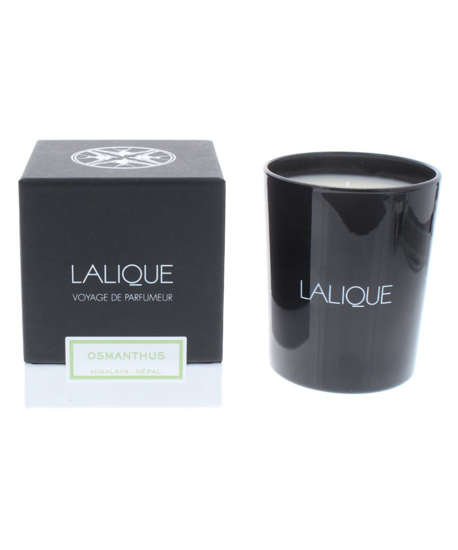 Rich notes of tea, patchouli and wood come together in this aromatic candle.
