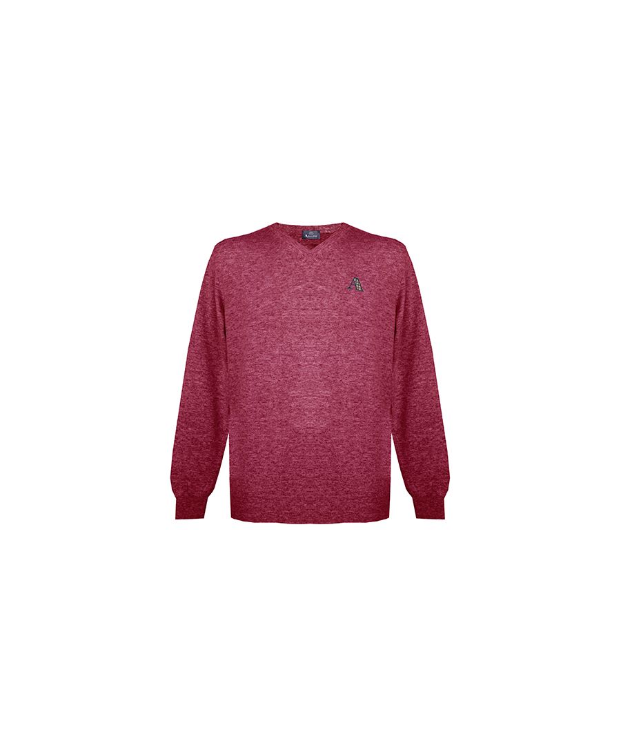 Image for Aquascutum Mens Long Sleeved/V-Neck Knitwear Jumper with Logo in Red