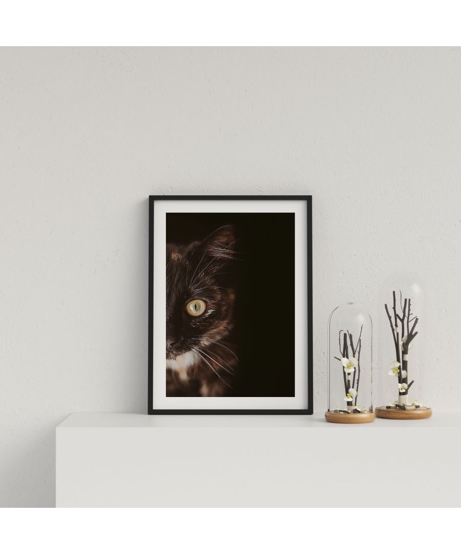 Image for A Cat's Eye View - Black frame