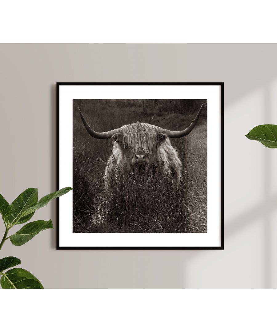 Image for Highland Cow - Black frame