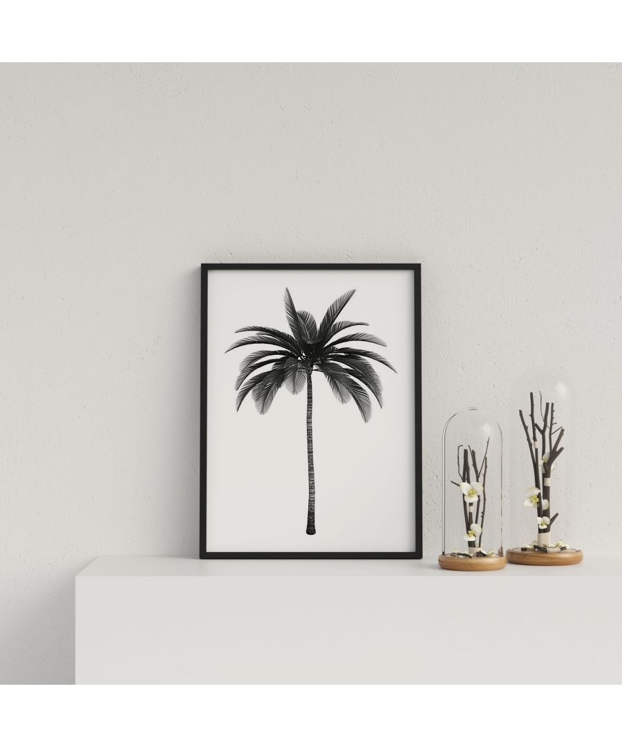 Image for Palm Tree on White Background - Black frame