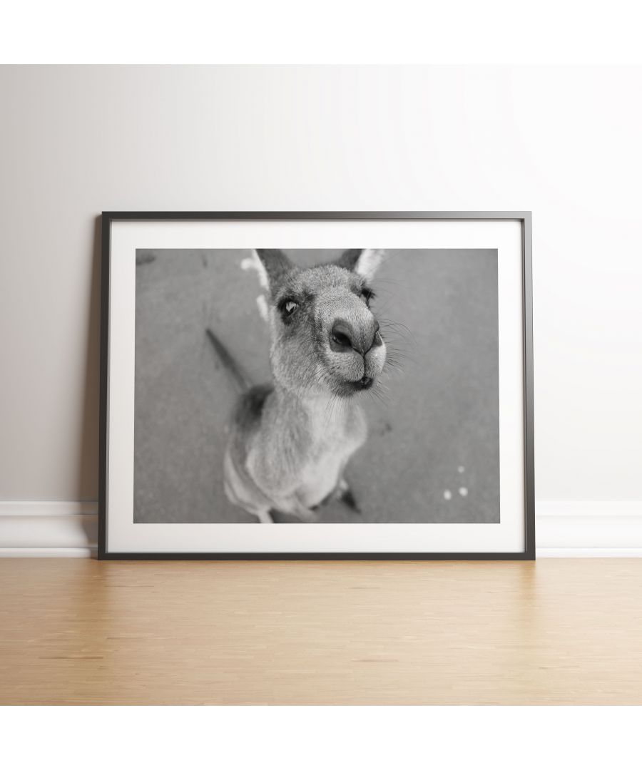 Image for Friendly Kangaroo - Black frame