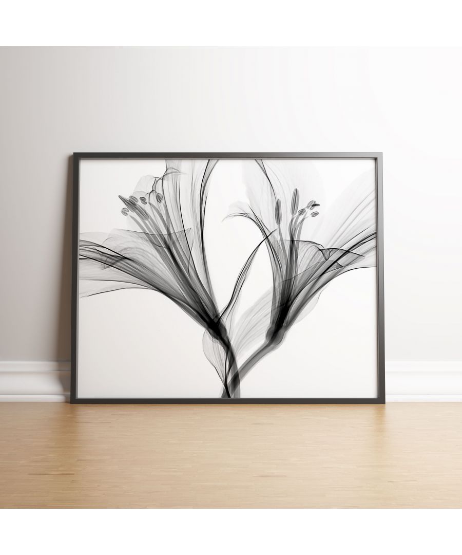 Image for Lily Flower Aquarelle XRay - Black frame