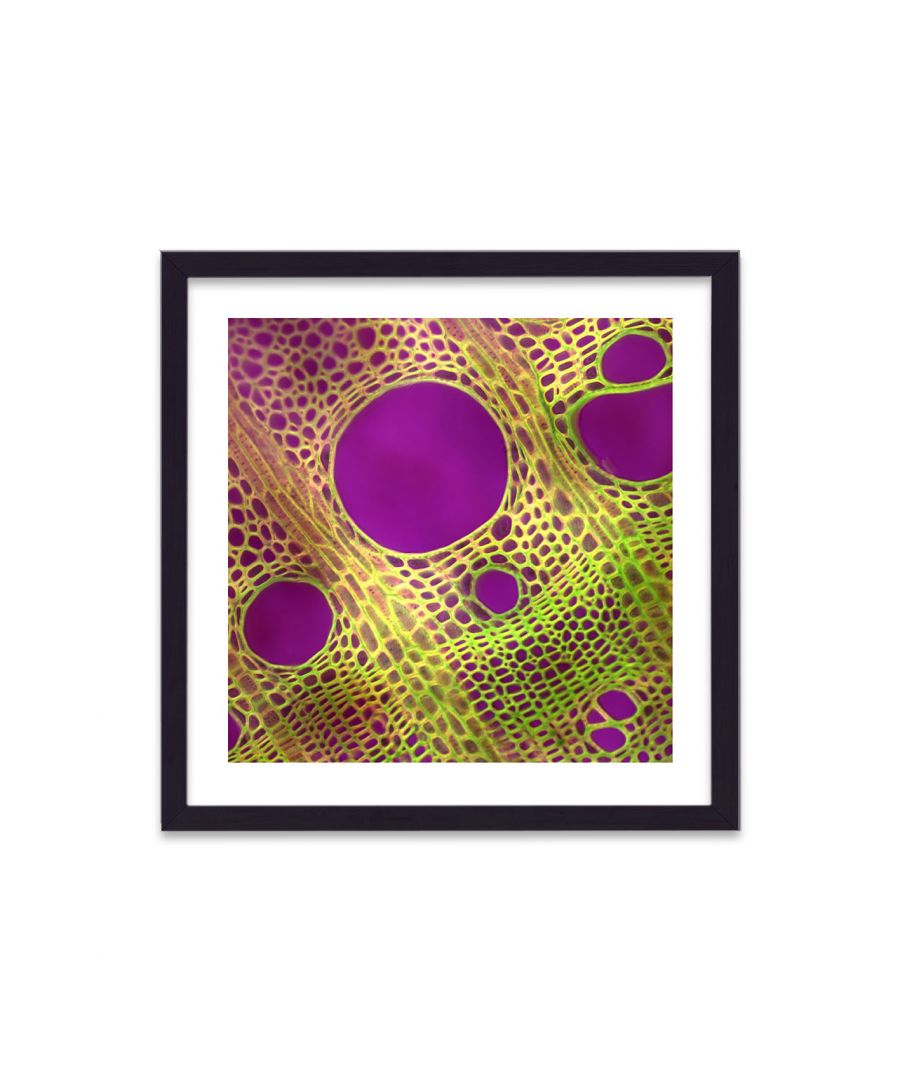 Image for Cellular Beauty Art 18 Vivid Pink on Green - Black Frame