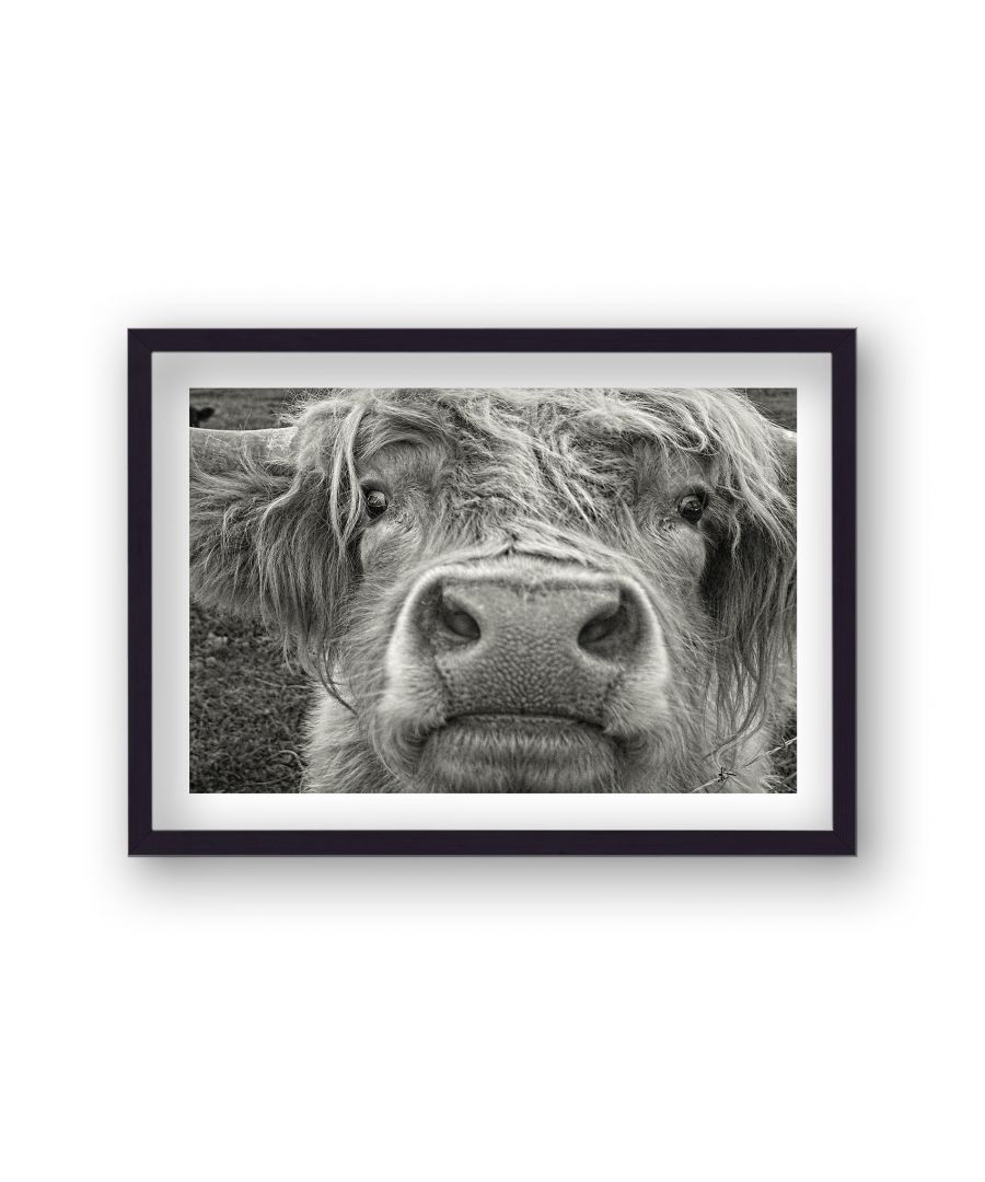 Image for Friendly Highland Cow B&W - Black Frame
