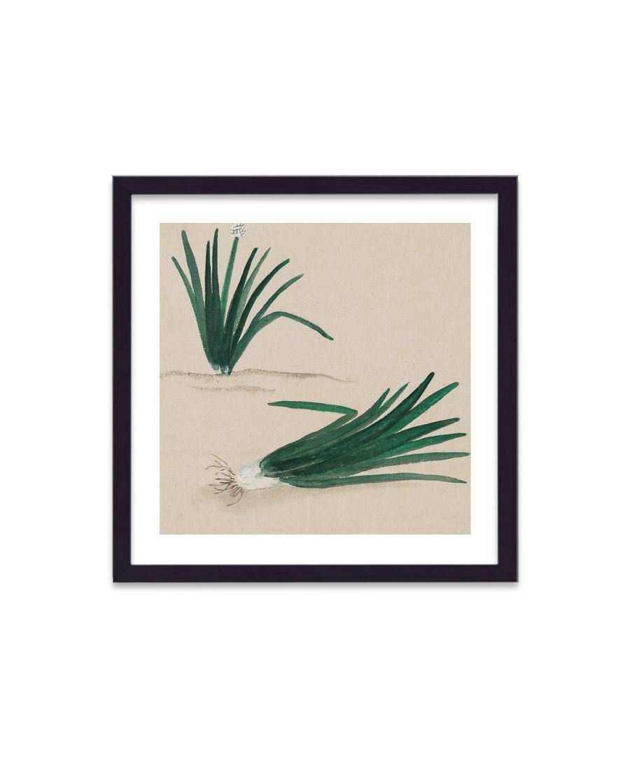 Image for Vintage Japanese Vegetable Print Spring Onion - Black Frame