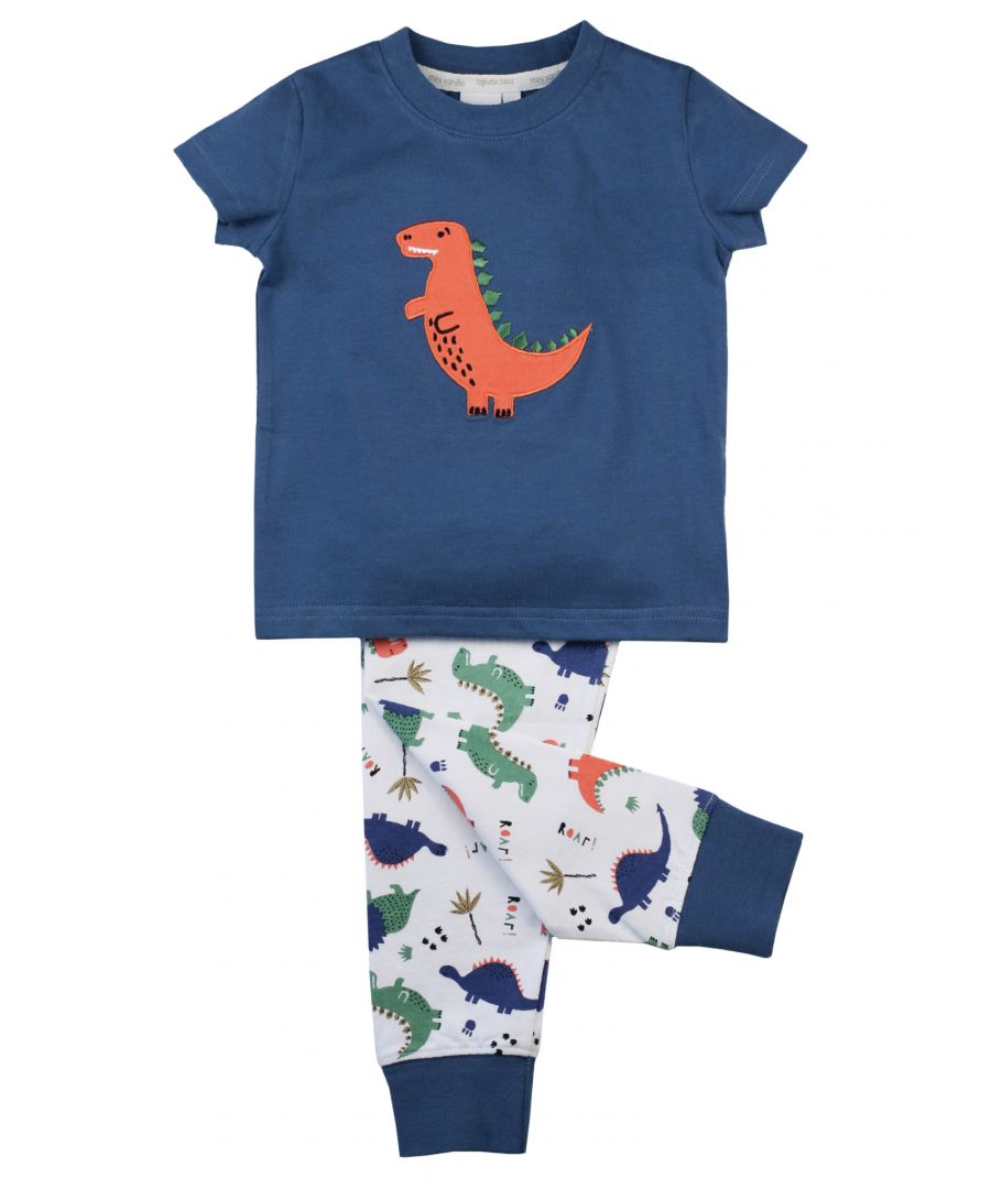 Image for Boys' Slim Fit Dinosaur Summer Pyjamas