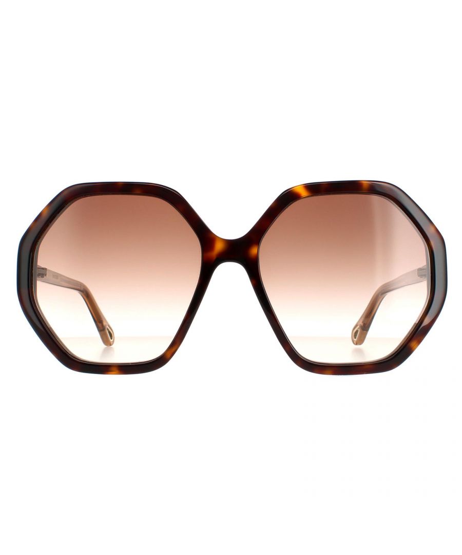 Chloe Round Womens Dark Havana and Brown Crystal Brown Gradient CH0008S Esther  Sunglasses are a nifty hexagonal style crafted from lightweight acetate. The Chloe logo features on the slender temples for brand authenticity.