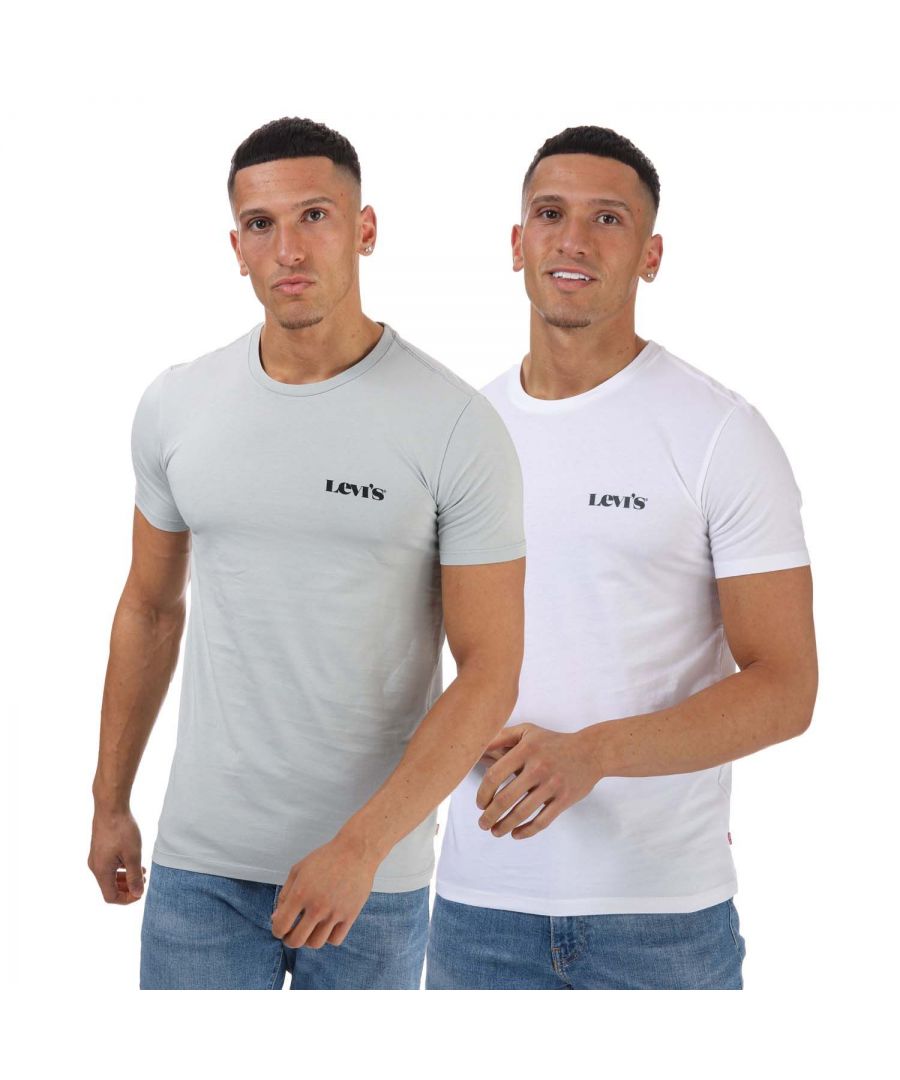 Levi's set van 2 grafische T-shirts met ronde hals, wit-grijs