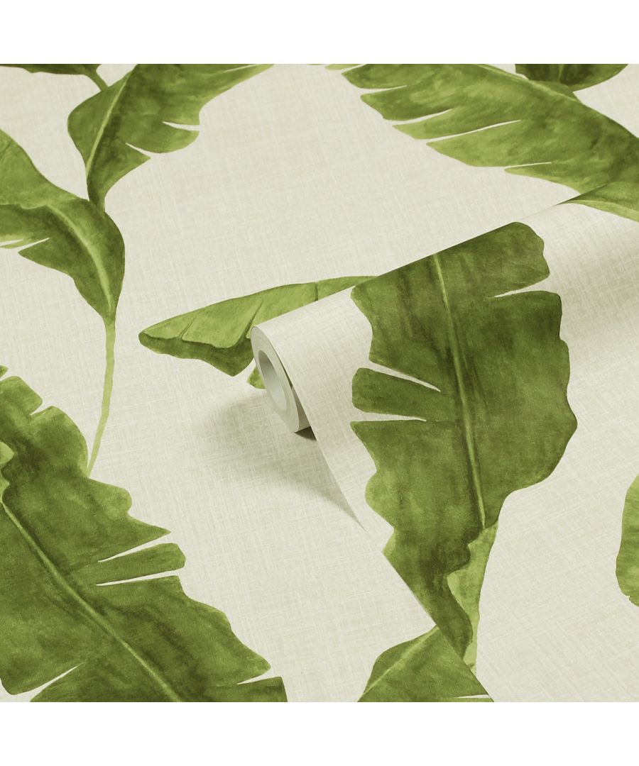 Add some tropics to your home with the Plantain wallpaper featuring tropical leaves. Taking elements of the tropical rainforest and bringing them to life with these large, luscious banana leaves in gorgeous green hues. This wallpaper is a paste the wall application; simply paste the wall, hang your paper, and leave to dry. Each roll is 10m long and 52cm wide. Pattern repeat: 53cm Straight Match. Our Plantain wallpaper can be used to paper the whole room or to create an eye-catching feature wall. This wallpaper is also wipeable so that any light marks can be dabbed away.