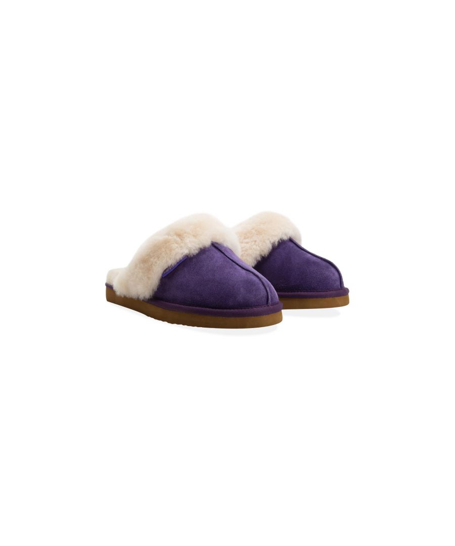 Redfoot Ann Purple Slippers