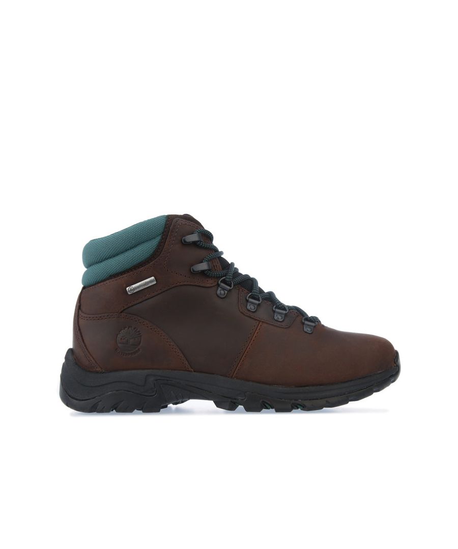 Image for Women's Timberland Mount Maddsen Hiker Boots in Dark Brown