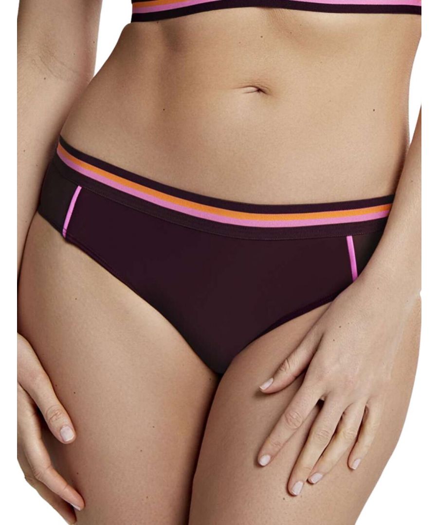 Panache Womens Kira Active Classic Bikini Pant - Purple Polyamide - Size 3XL