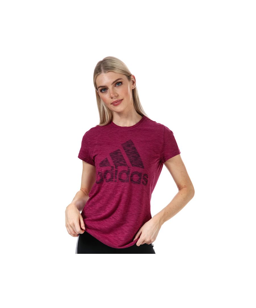 adidas Womenss Must Haves Winners T-Shirt in Berry - Size 4 UK