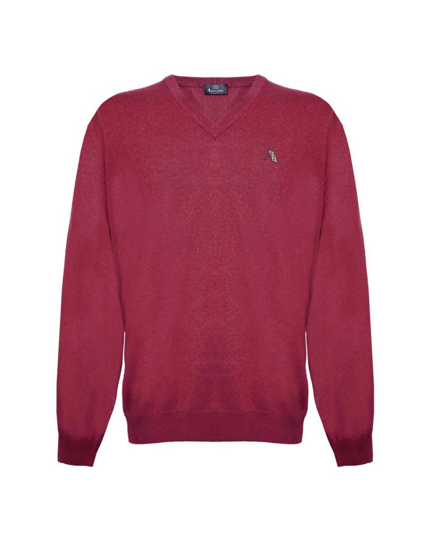 Image for Aquascutum Mens Long Sleeved/V-Neck Knitwear Jumper with Logo in Red