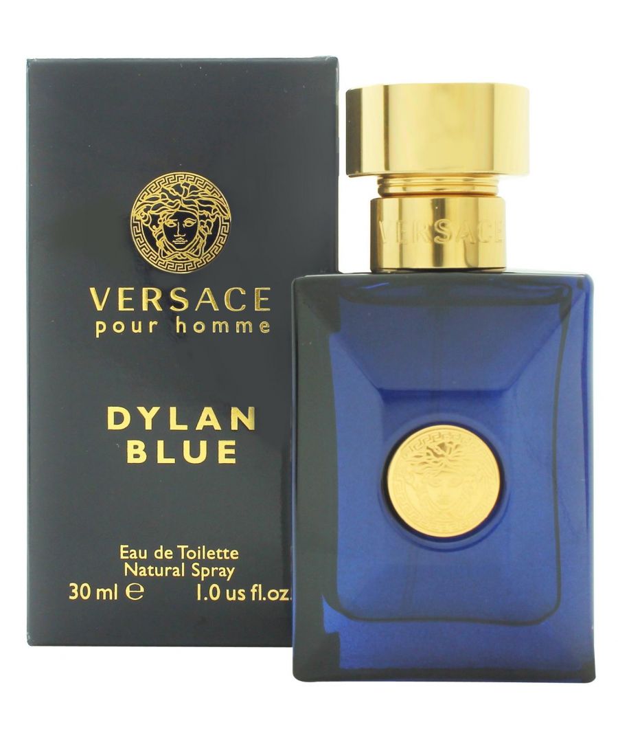 Versace Pour Homme Dylan Blue is an aromatic fougere fragrance for men. Top notes: water notes, Calabrian bergamot, grapefruit, fig leaf. Middle notes: violet leaf, papyrus, patchouli, black pepper, ambroxan. Base notes: musk, incense, tonka bean, saffron. Versace Pour Homme Dylan Blue was launched in 2013.