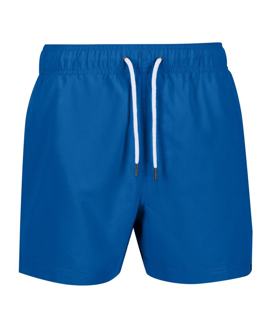 Image for Regatta Mens Mawson II Swim Shorts (Lapis Blue)