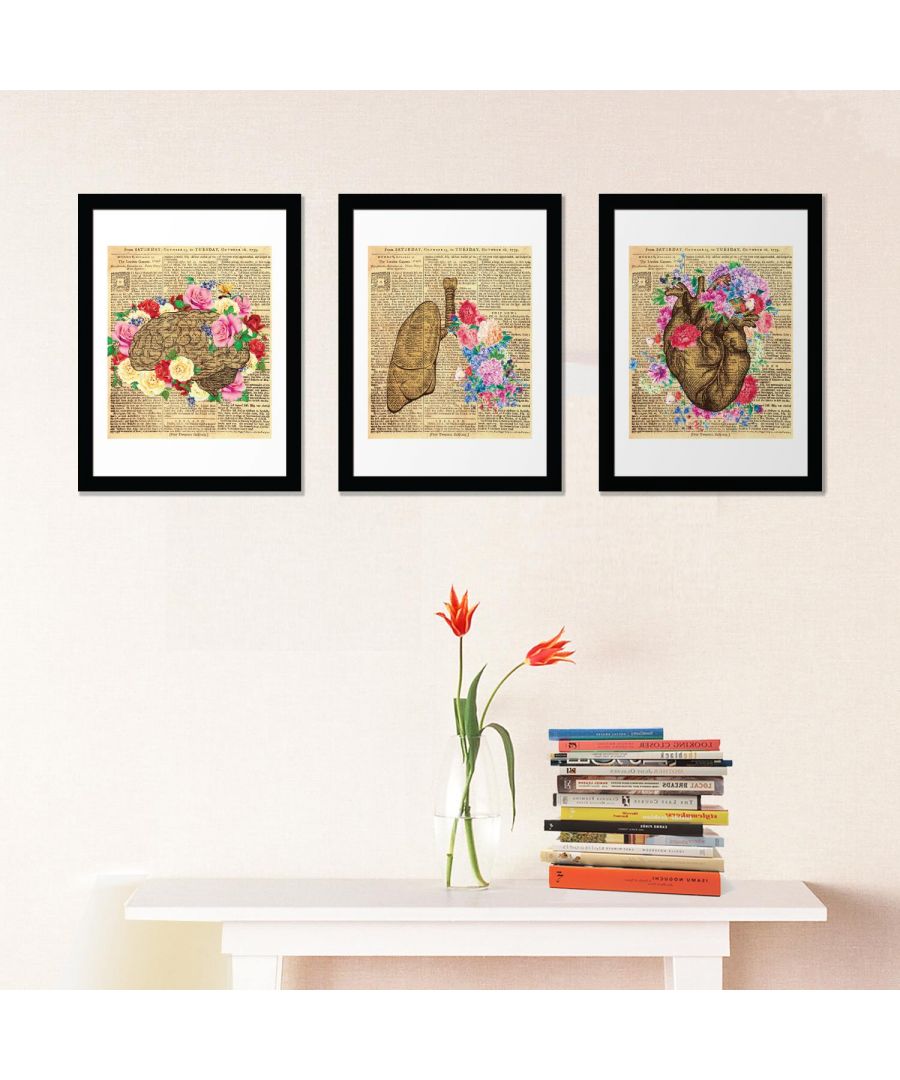 Image for Flower Anatony poster set No. 1 wall decal, wall decal flowers, Framed Photo, Framed Art 100 cm x 40 cm 3 Pcs
