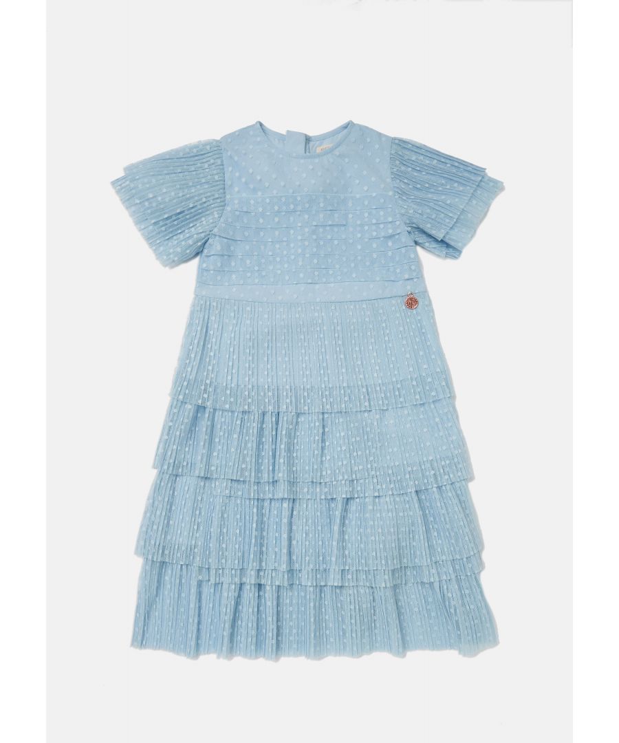 This exquisite. tiered dress is so dreamy. Beautiful   mesh with self colour spot. pretty pleated sleeves and bodice. Gorgeous! Colour:  . About me: 100% Polyester Look after me: Think planet. wash at 30c.