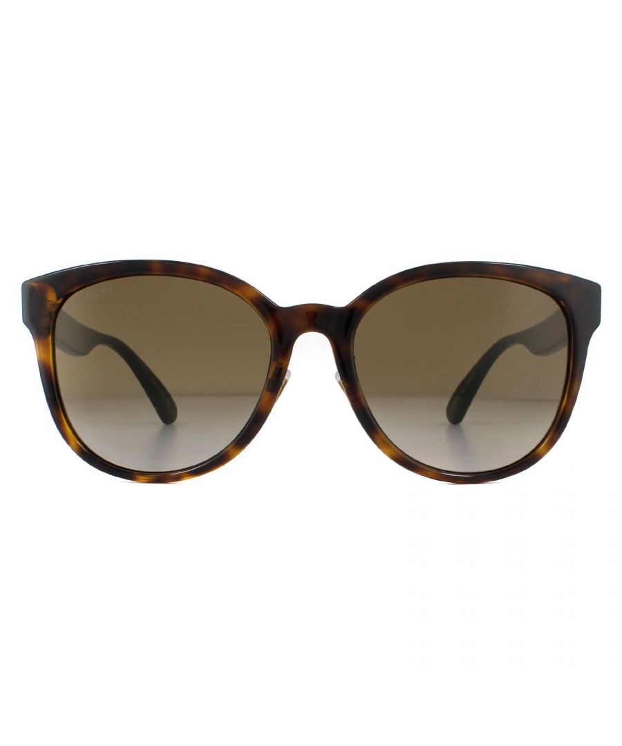 Image for Gucci Sunglasses GG0854SK 003 Havana Brown Brown Gradient