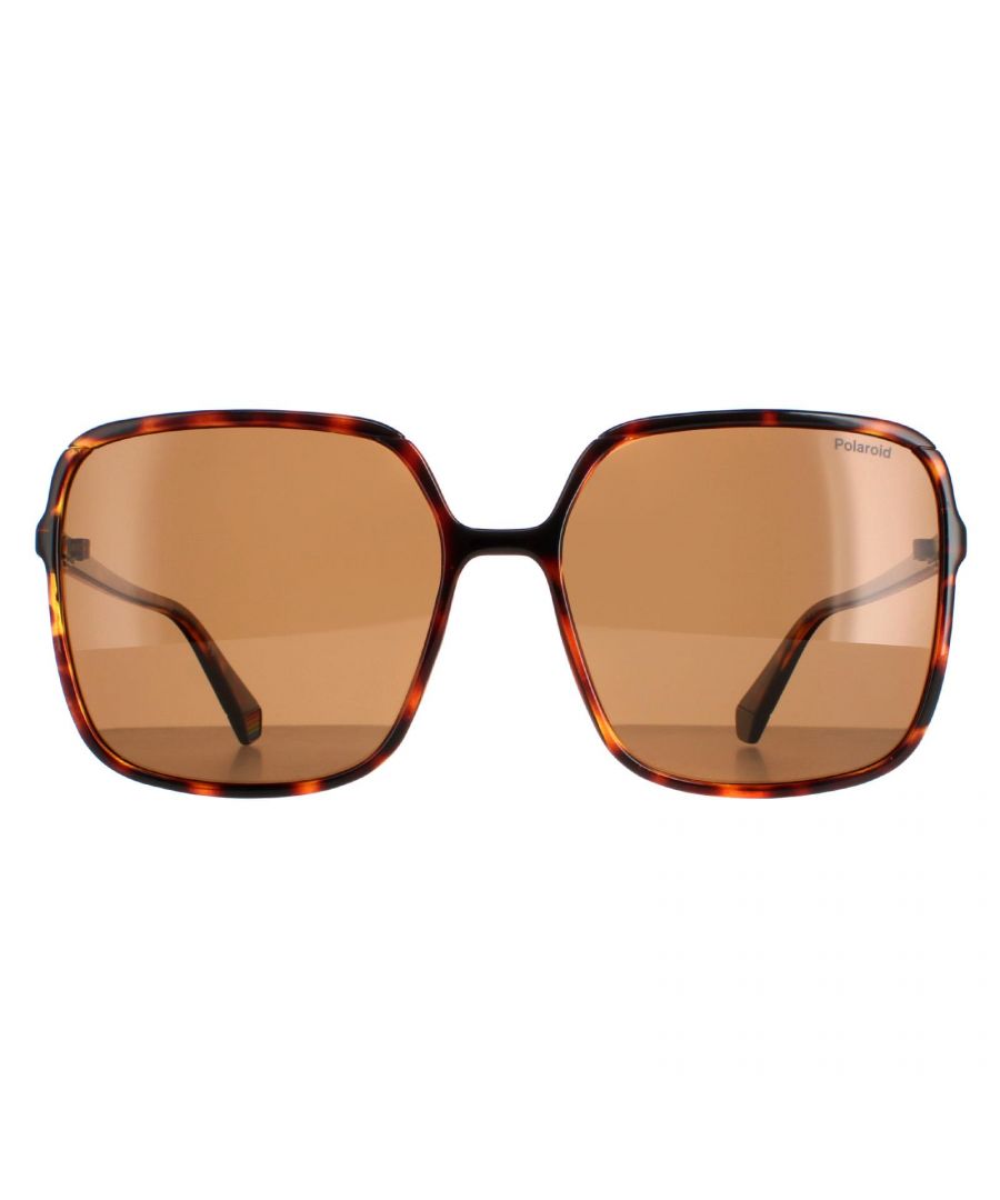 Polaroid Square dames Havana Brown Polarisated PLD 6128/S PLD 6128/s zijn een oversized vierkante stijl. Slanke tempels worden afgedrukt met het Polaroid -logo. Gepolariseerde lenzen garanderen verblinding bescherming.