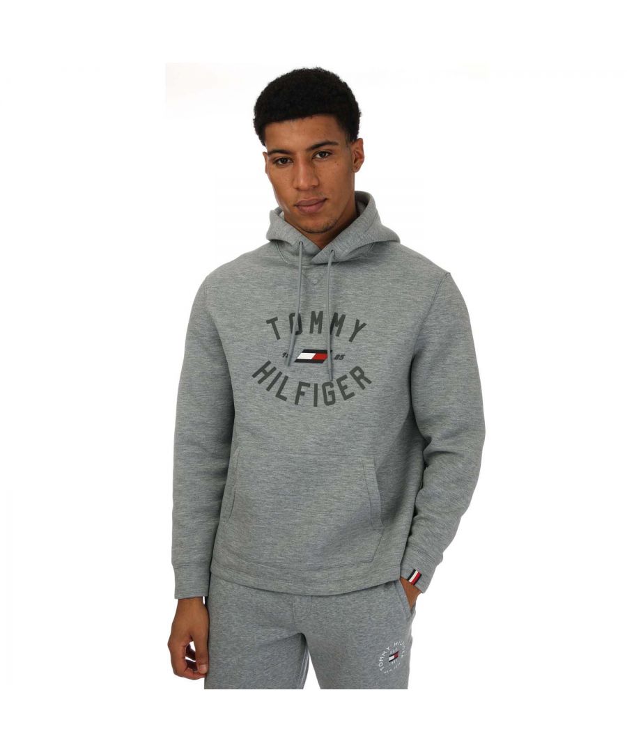 Tommy Hilfiger Sport Varsity hoodie met logo voor heren, grijs